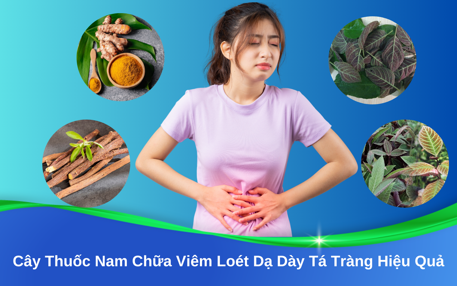 Cây Thuốc Nam Chữa Viêm Loét Dạ Dày Tá Tràng Hiệu Quả