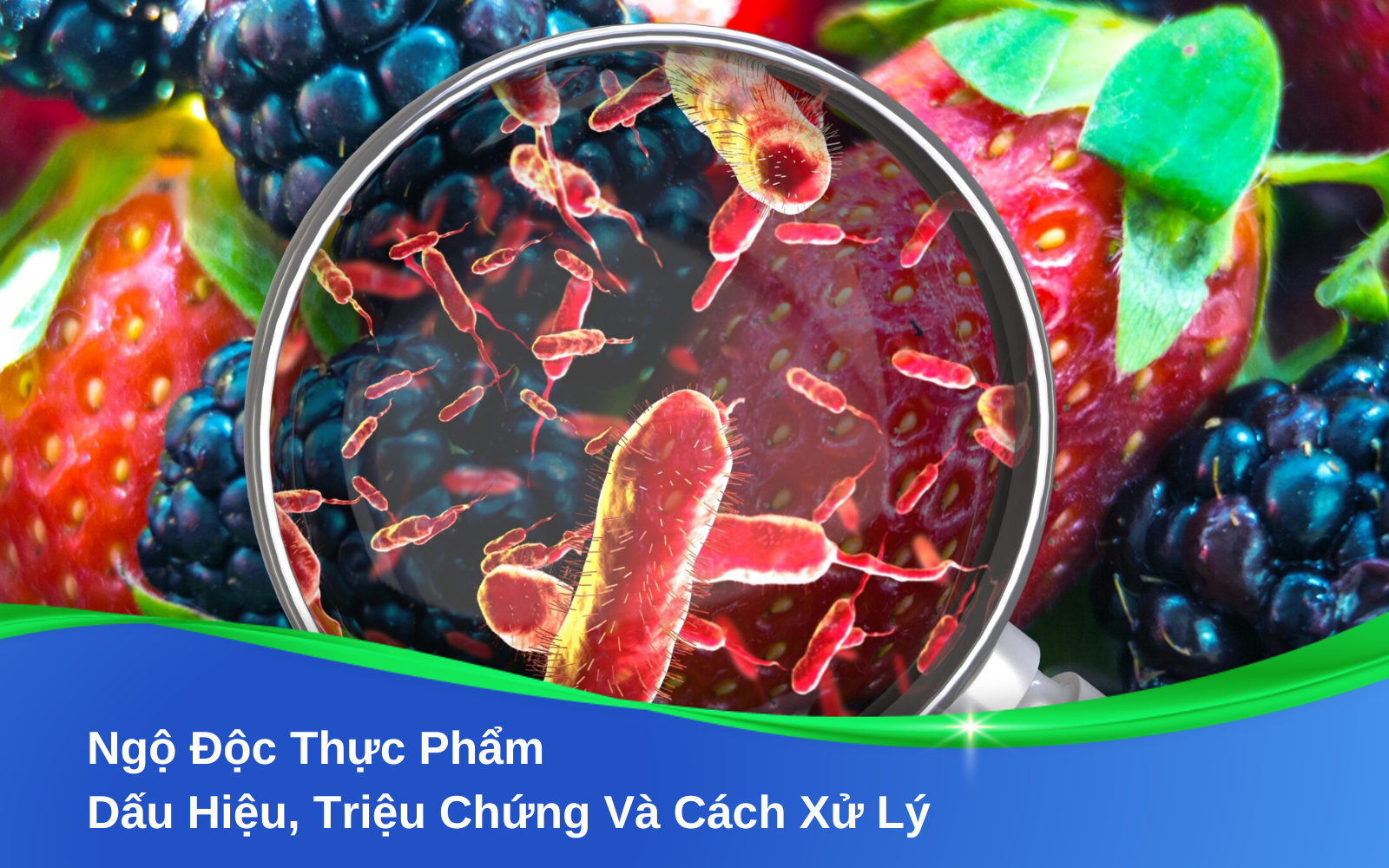 Ngộ Độc Thực Phẩm: Dấu Hiệu, Triệu Chứng Và Cách Xử Lý