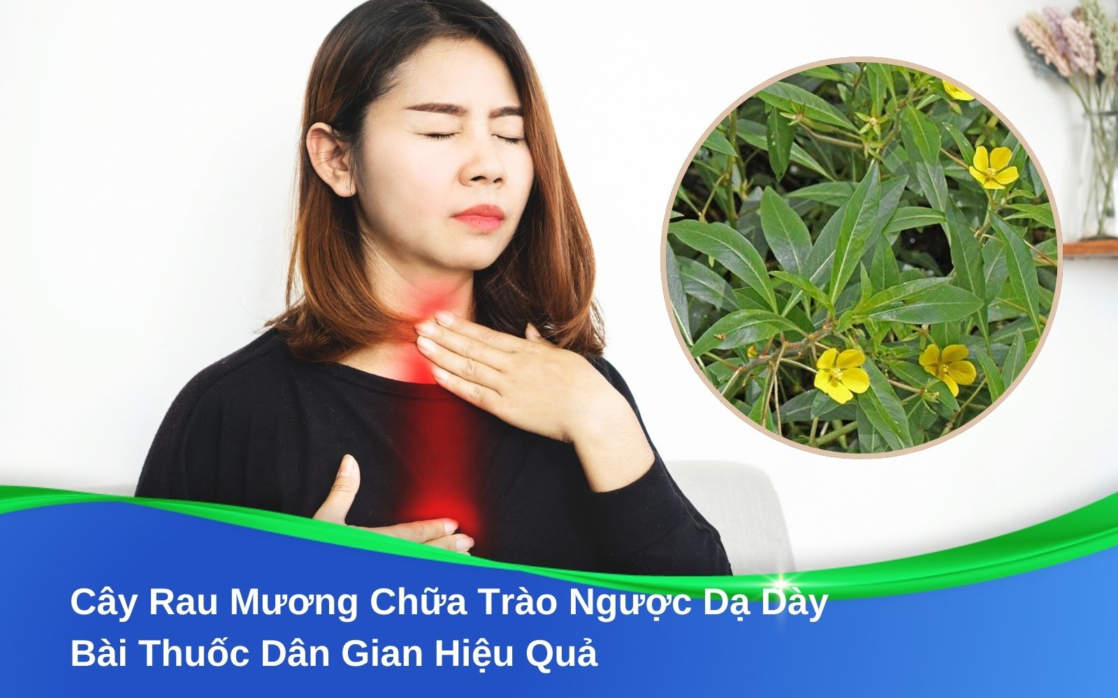 Cây Rau Mương Chữa Trào Ngược Dạ Dày: Bài Thuốc Dân Gian Hiệu Quả