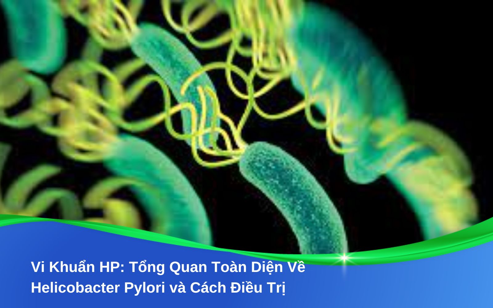 Vi Khuẩn HP Tổng Quan Toàn Diện Về Helicobacter Pylori và Cách Điều Trị