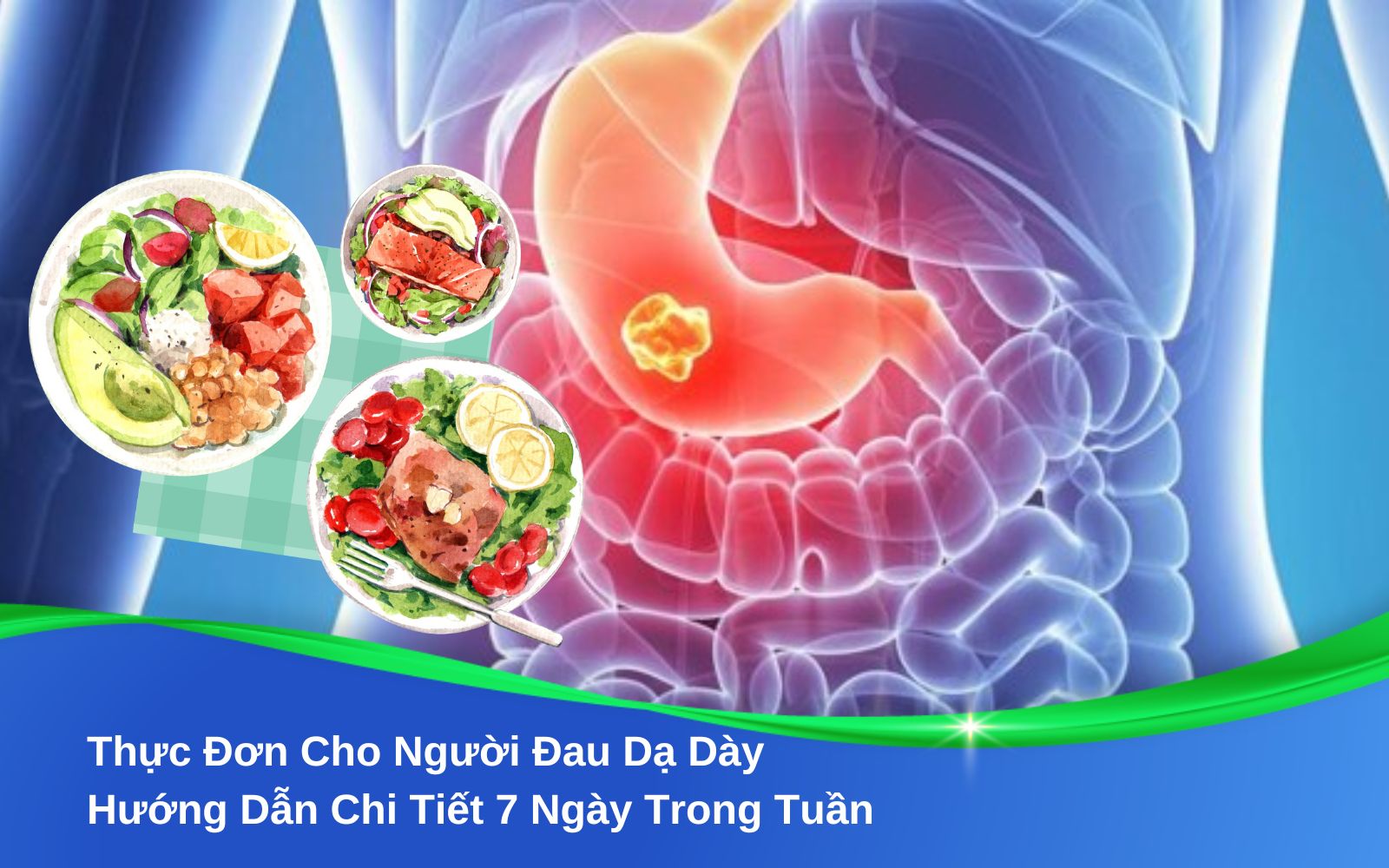Thực Đơn Cho Người Đau Dạ Dày Hướng Dẫn Chi Tiết 7 Ngày Trong Tuần