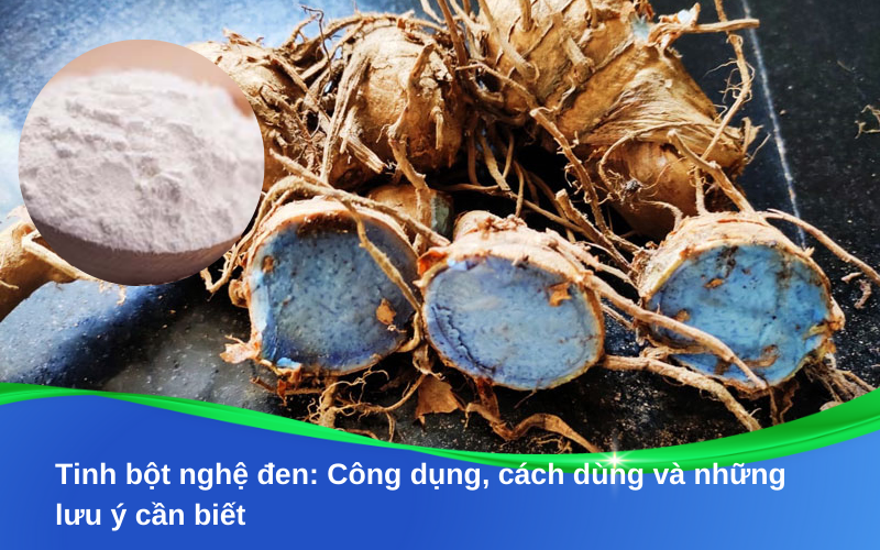 Tinh bột nghệ đen: Công dụng, cách dùng và những lưu ý cần biết