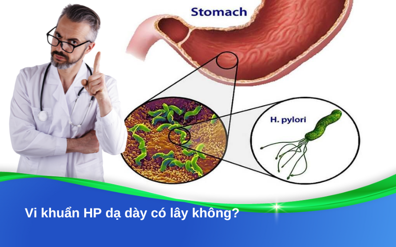 HP dạ dày có lây không? Sự thật khoa học và những điều cần biết