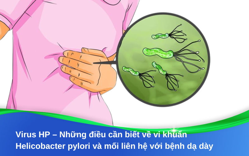 Virus HP – Những điều cần biết về vi khuẩn Helicobacter pylori và mối liên hệ với bệnh dạ dày