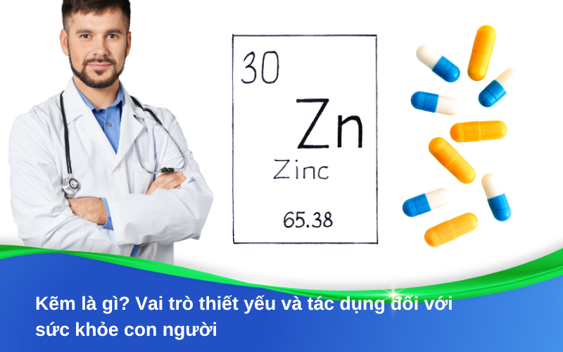 Kẽm là gì? Vai trò thiết yếu và tác dụng đối với sức khỏe con người