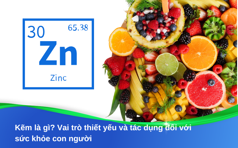 Trái cây chứa nhiều kẽm: Giá trị dinh dưỡng và lợi ích sức khỏe từ góc nhìn khoa học