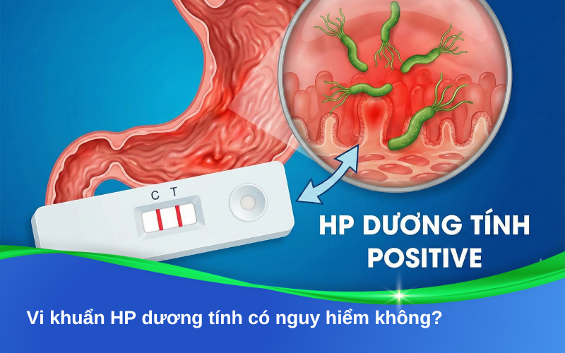 Vi khuẩn HP dương tính có nguy hiểm không?